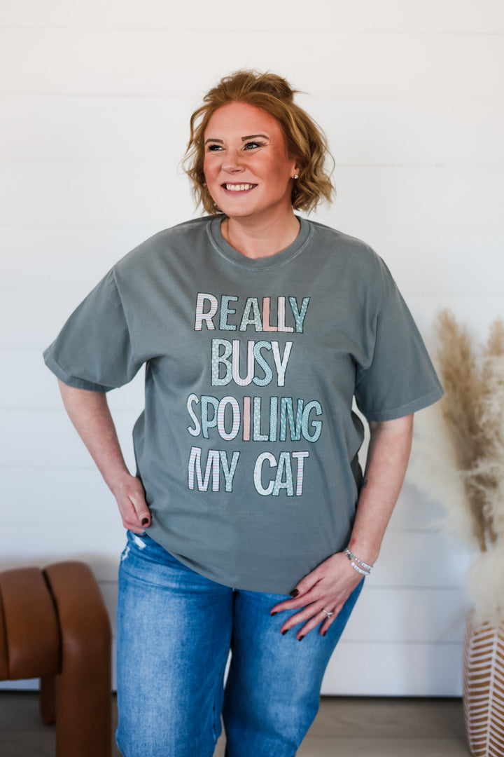 Really Busy Spoiling My Cat Top