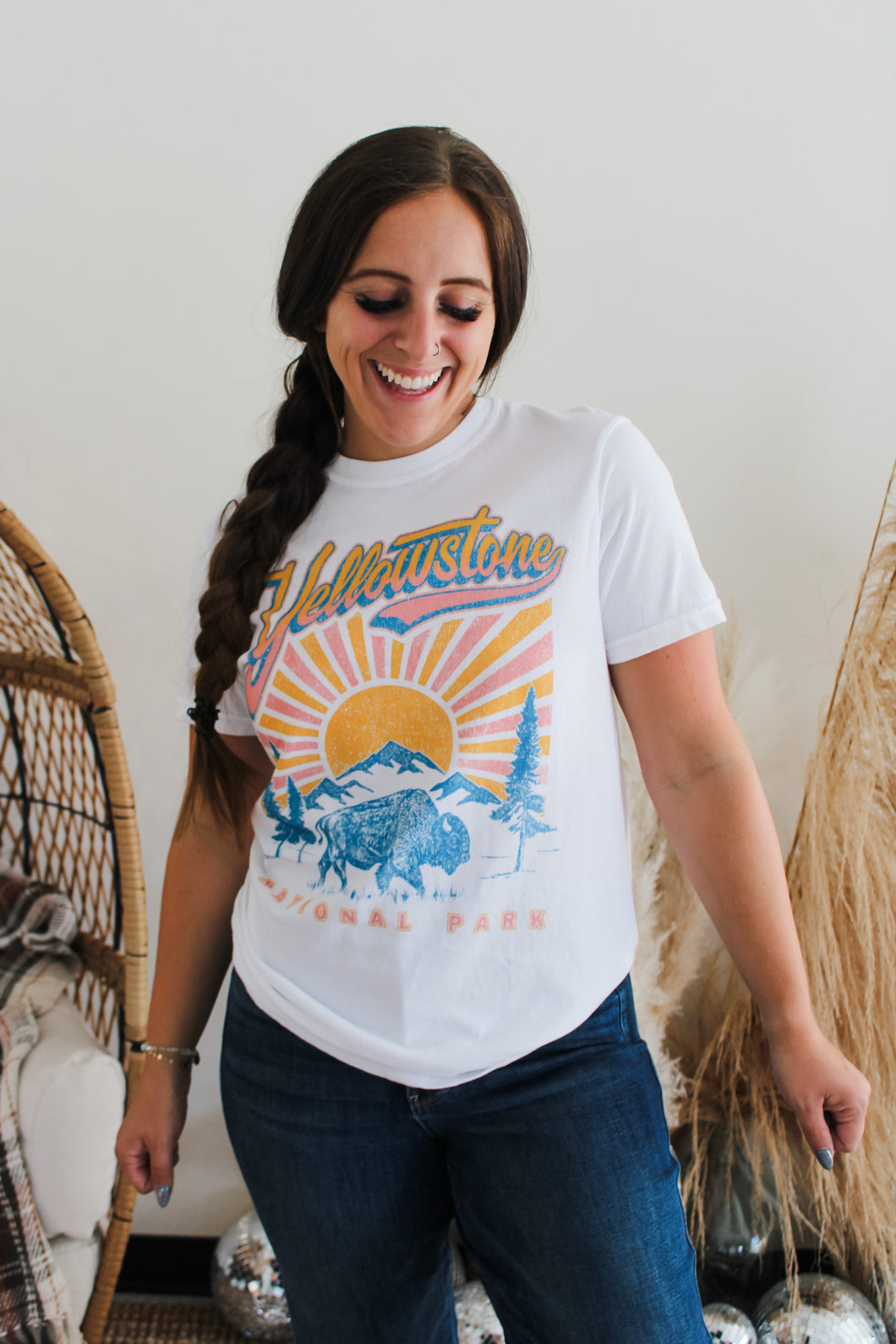 Yellowstone Park Top