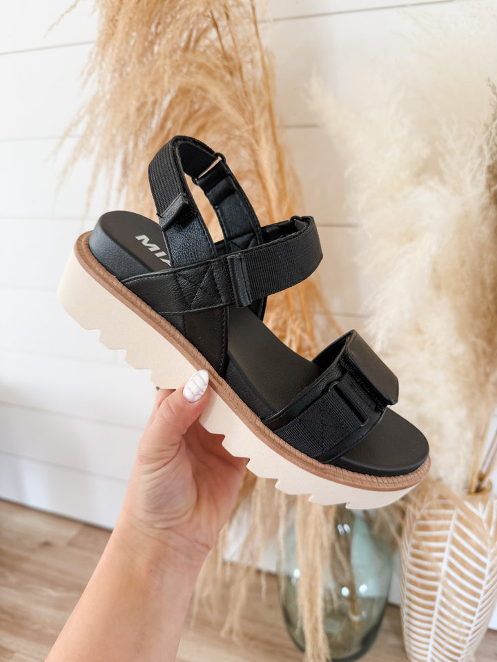 MIA: Jony Sandal