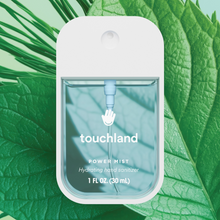 Load image into Gallery viewer, Frosted Mint Power Mist Hydrating Hand Sanitizer

