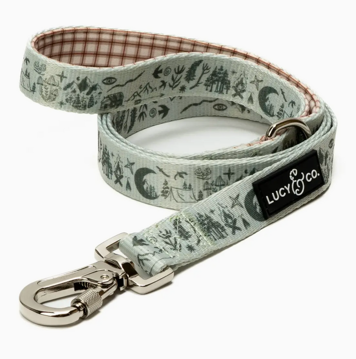 Camp Out Dog Leash