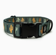 Load image into Gallery viewer, PREORDER Looking Sharp Dog Collar

