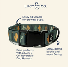 Load image into Gallery viewer, PREORDER Looking Sharp Dog Collar
