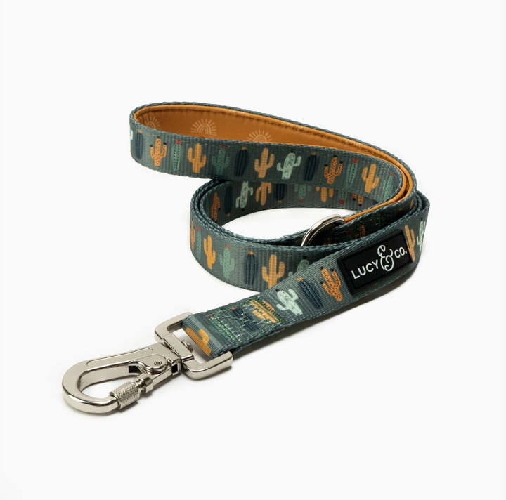 Looking Sharp Leash