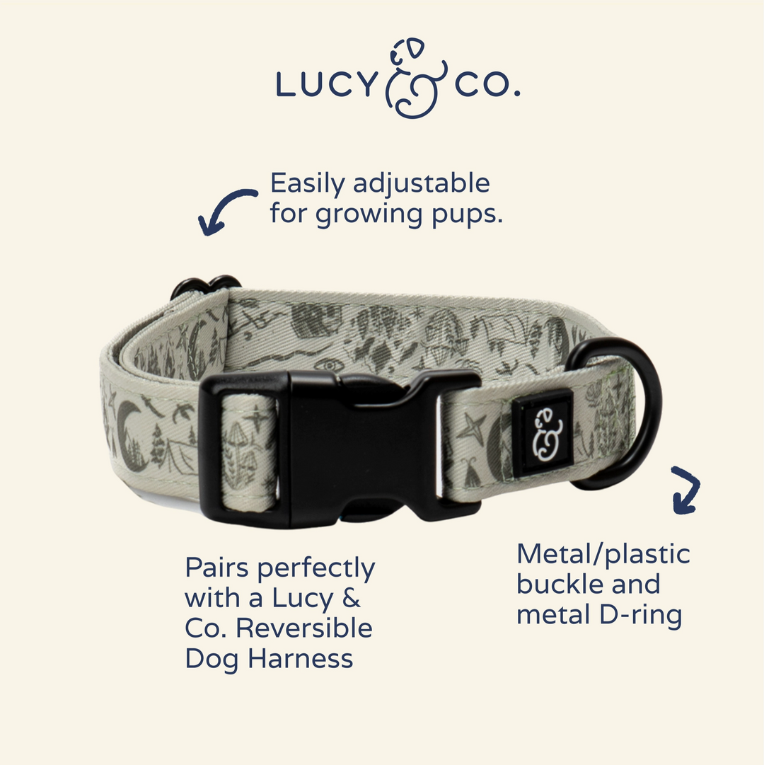 Camp Out Dog Collar