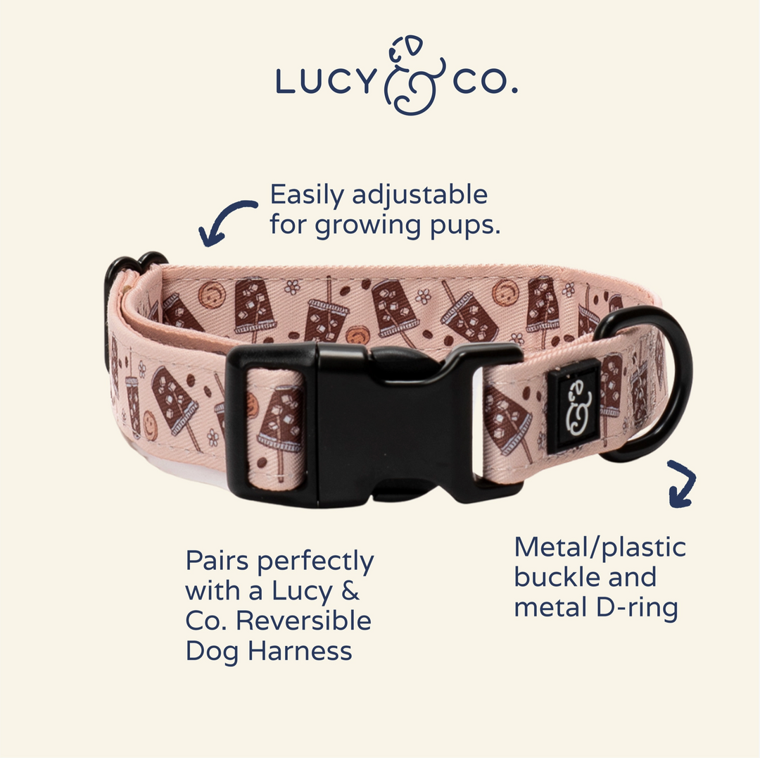 Iced Coffee Szn Dog Collar