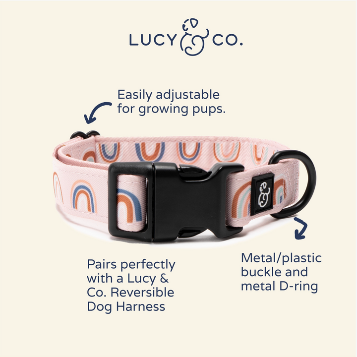 In The Clouds Dog Collar