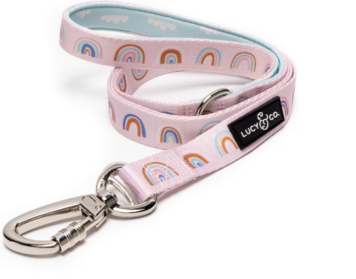 In The Clouds Leash