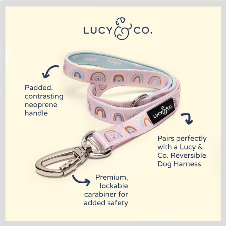 In The Clouds Leash